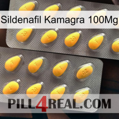 Sildenafil Kamagra 100Mg cialis2